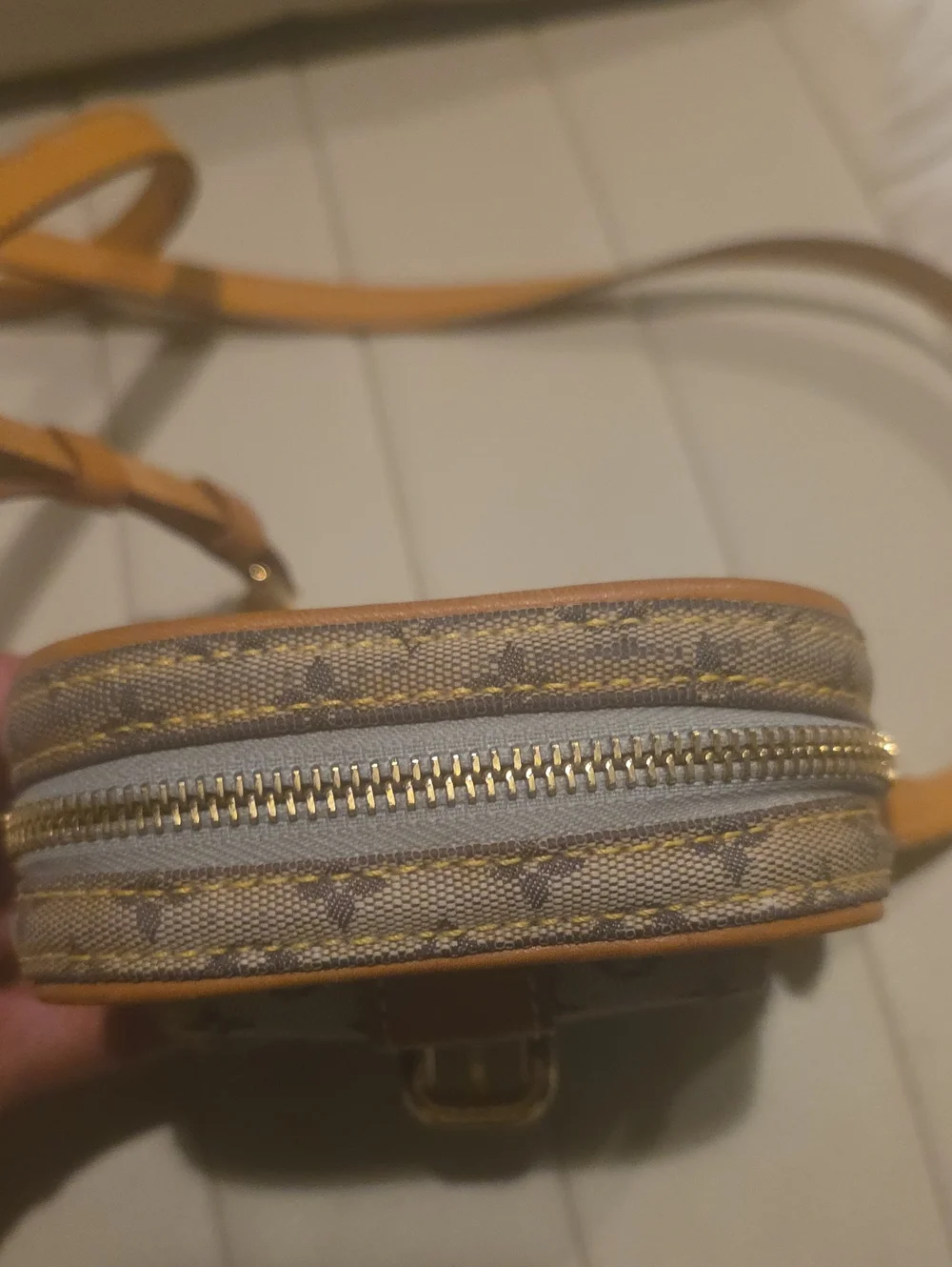 Louis Vuitton Mini Monogram Crossbody in Brown and Cream